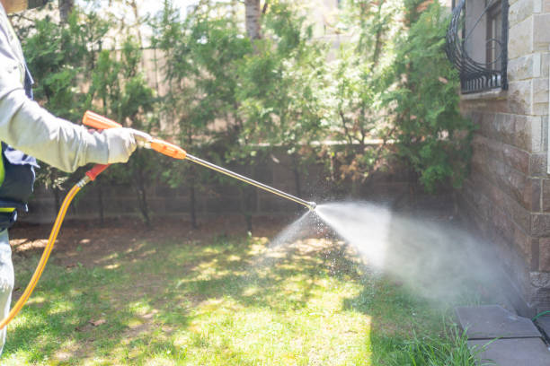 Best Cockroach Control Services  in Napoleon, OH